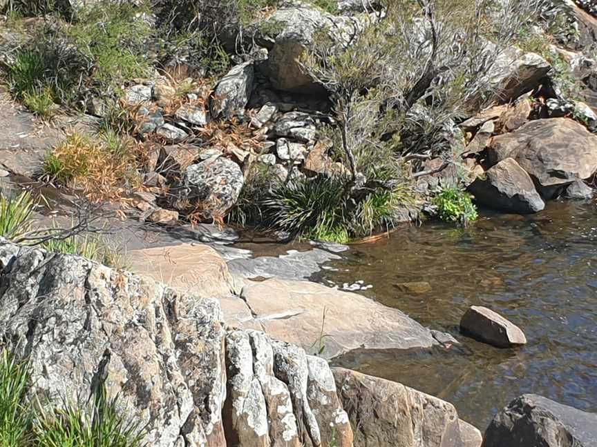 The Falls Water Falls, Summer Hill Creek, NSW