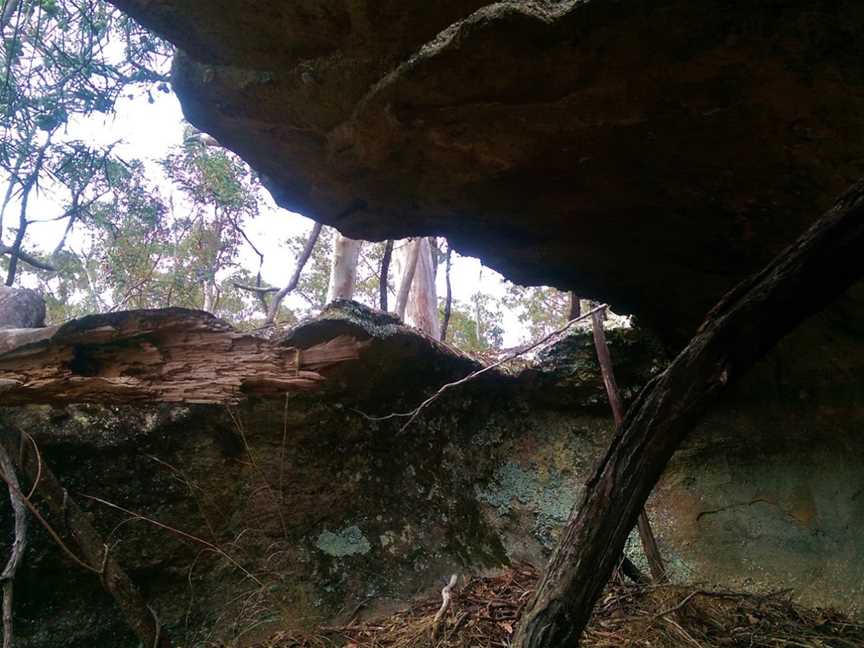 Sunny Corner State Forest, Sunny Corner, NSW