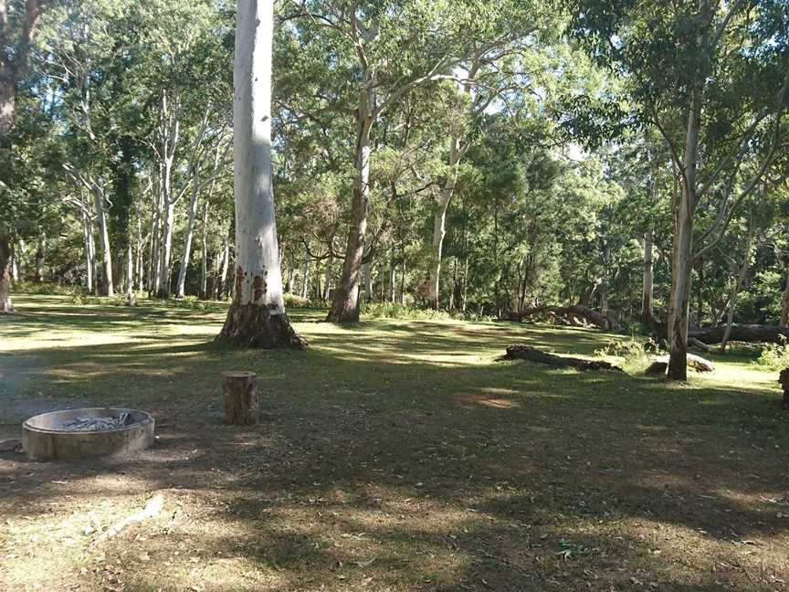 Kroombit Tops National Park, Tablelands, QLD