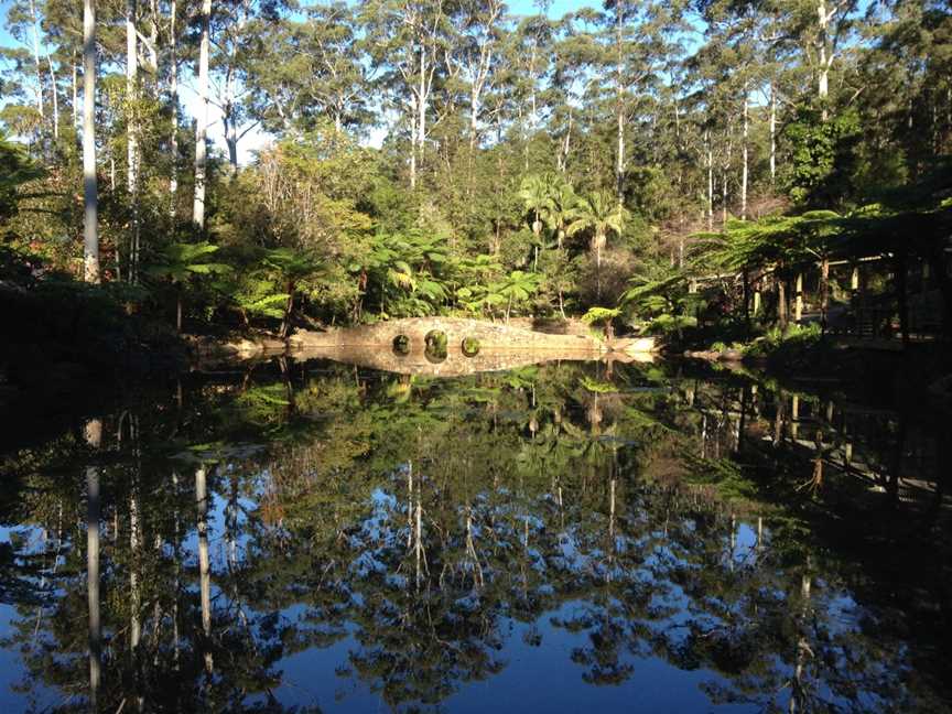 Tamborine National Park, Tamborine, QLD