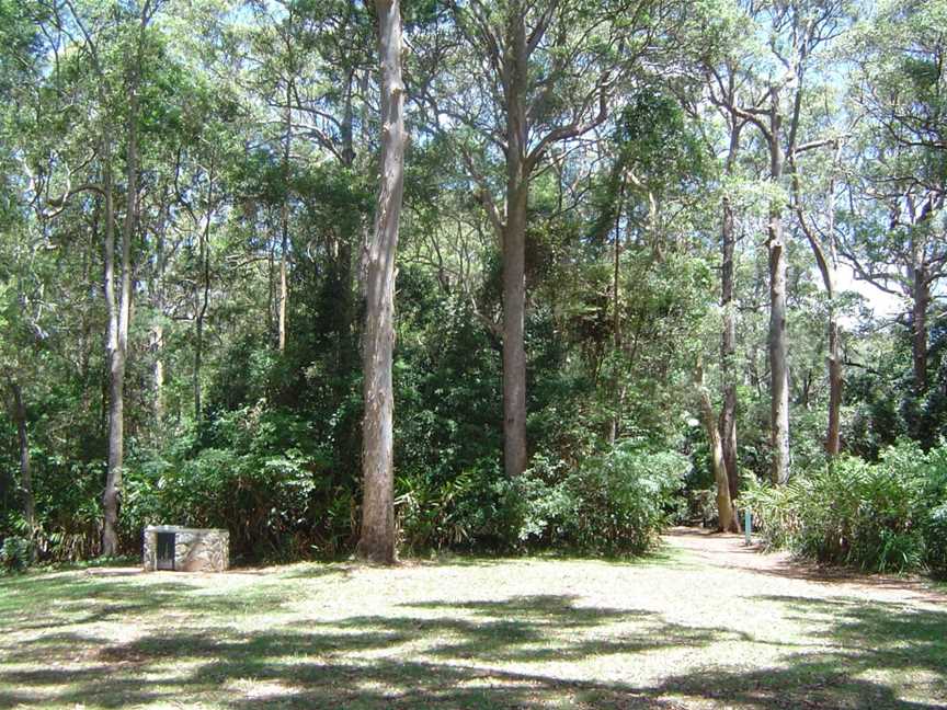 Tamborine National Park, Tamborine, QLD