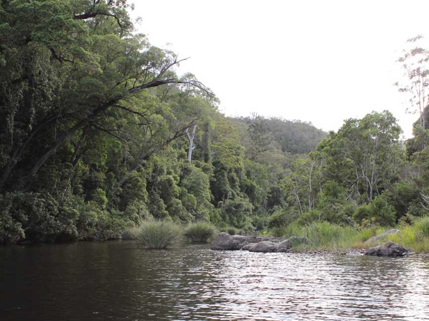 Nymboi-Binderay National Park, Wild Cattle Creek, NSW