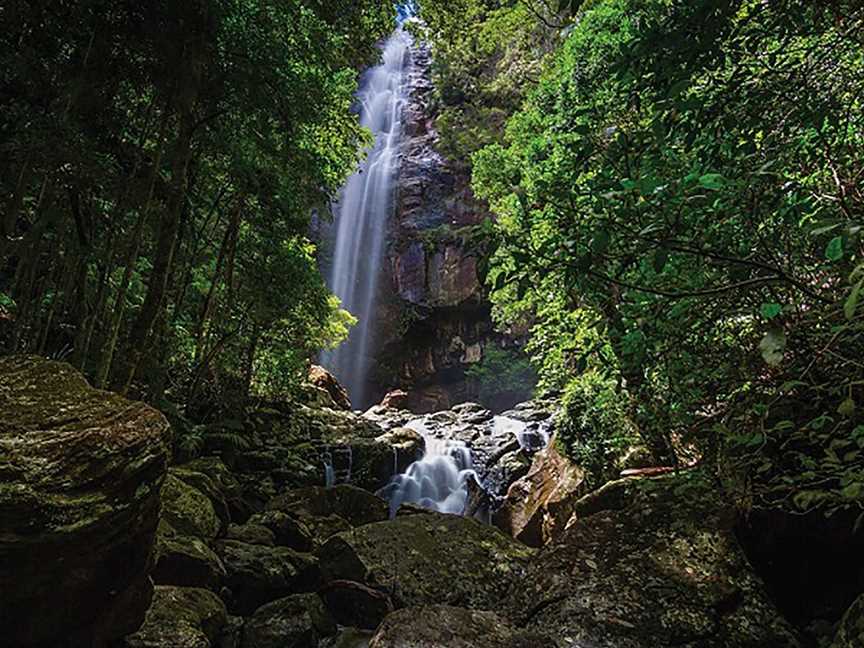 Protesters Falls Walking Track, Nightcap, NSW