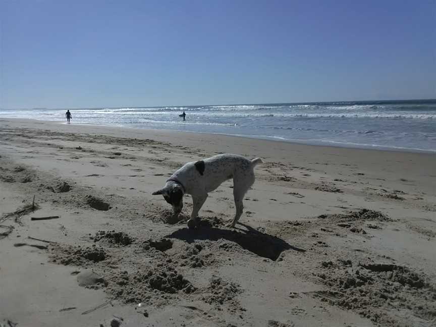 Airforce Beach, Evans Head, NSW