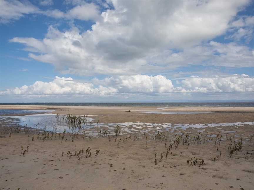 Buckley's Hole Conservation Park, Bongaree, QLD