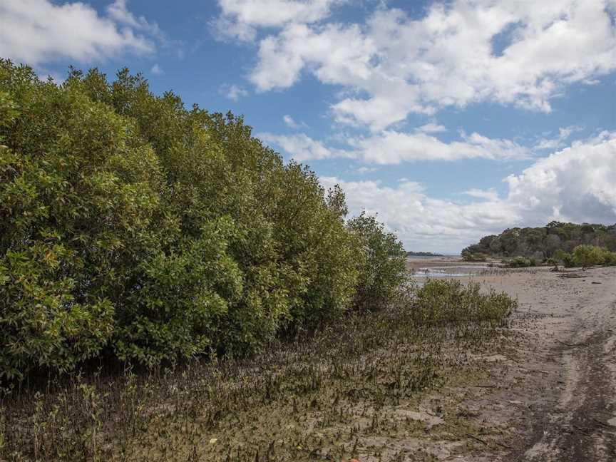 Buckley's Hole Conservation Park, Bongaree, QLD