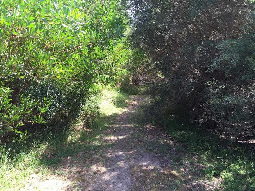 Bluff Track Fitness Trail, Whitemark, TAS