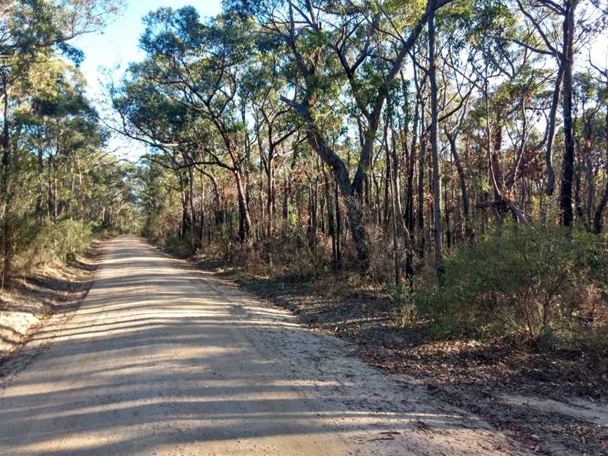 Bargo State Conservation Area, Wattle Ridge, NSW