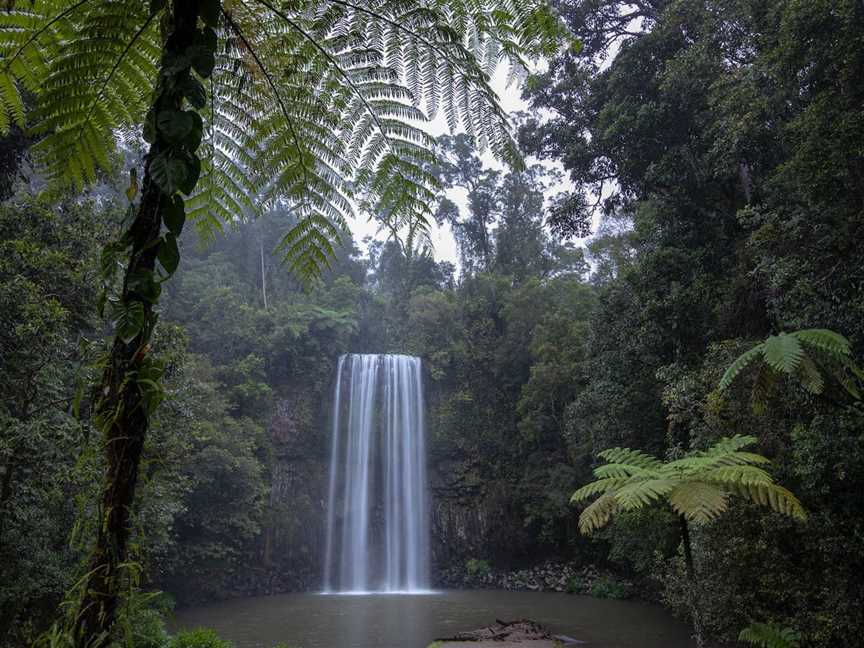 Millaa Millaa Falls, Millaa Millaa, QLD