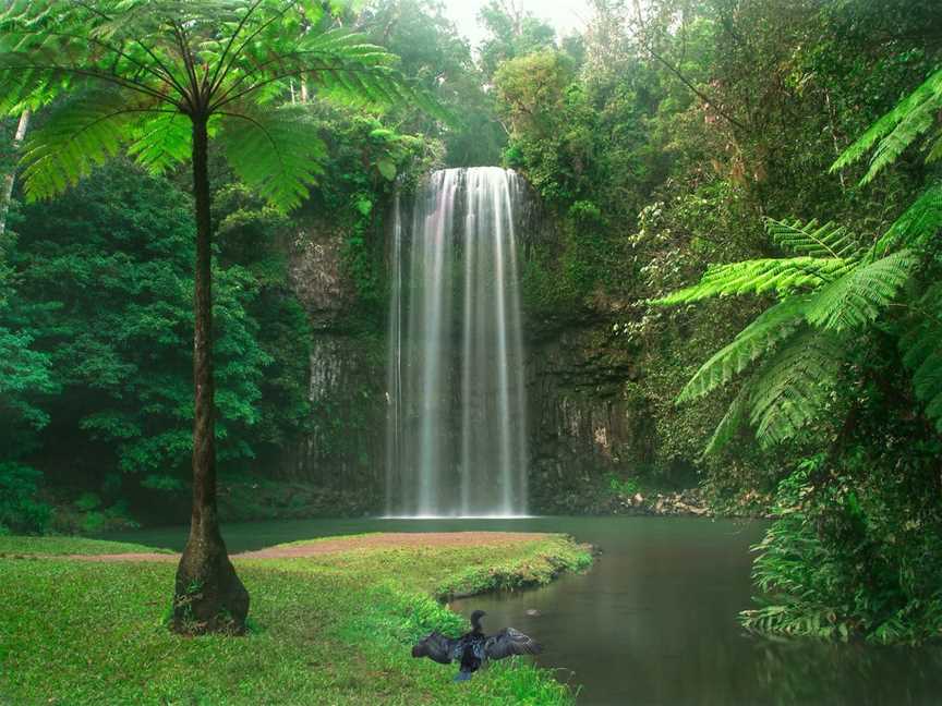 Millaa Millaa Falls, Millaa Millaa, QLD