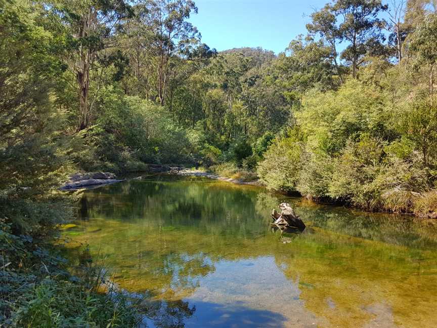 Baw Baw National Park, Erica, VIC