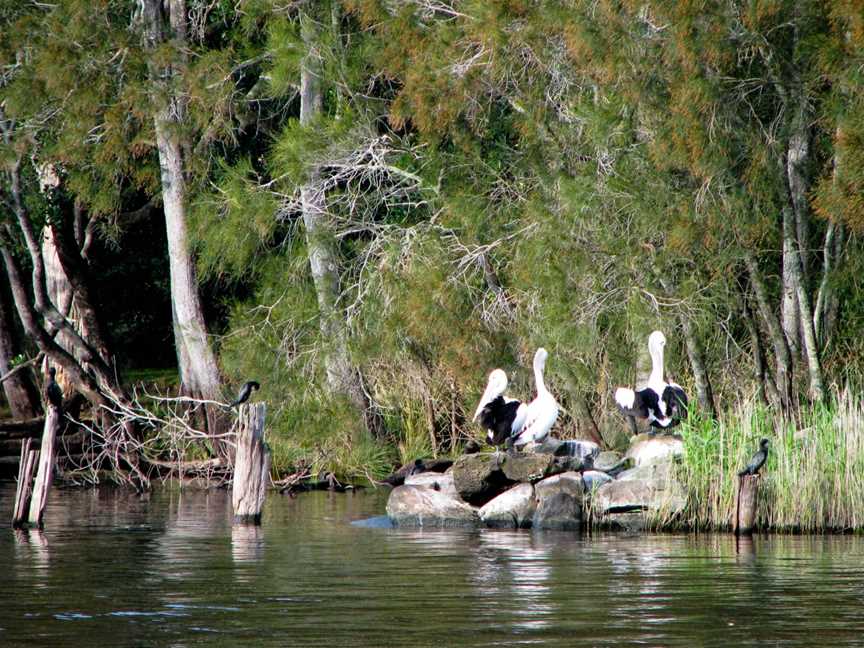 Myall Lakes National Park, Mungo Brush, NSW