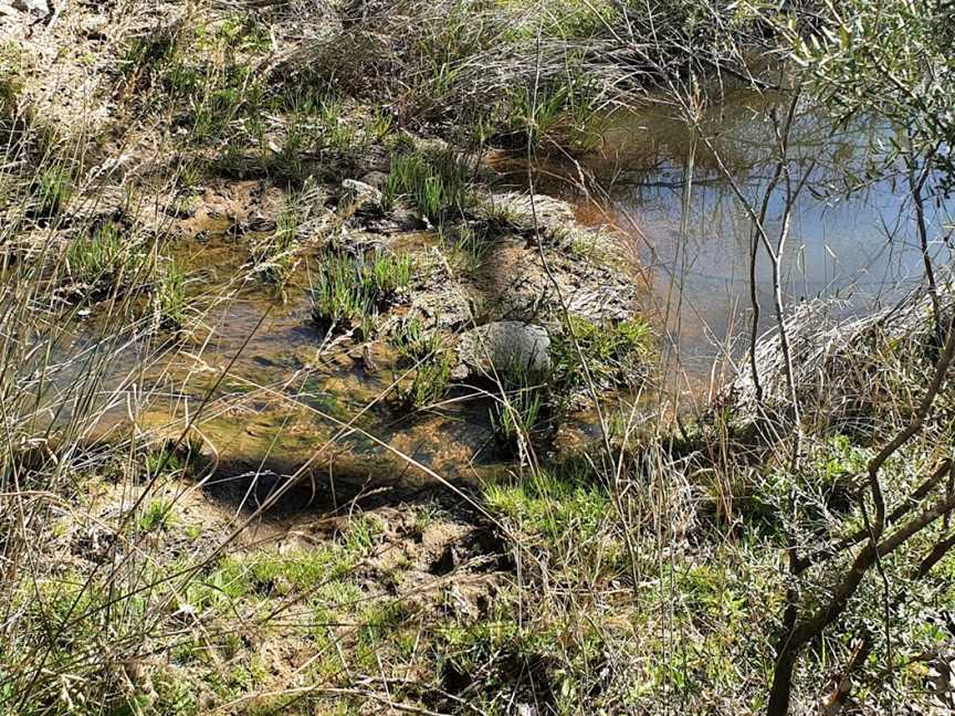 Stonewoman Aboriginal Area, Tingha, NSW