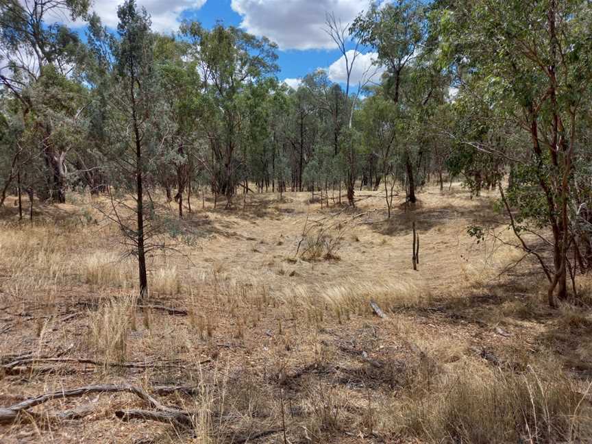 Redlands Hill Flora and Fauna Reserve, Redlands, NSW