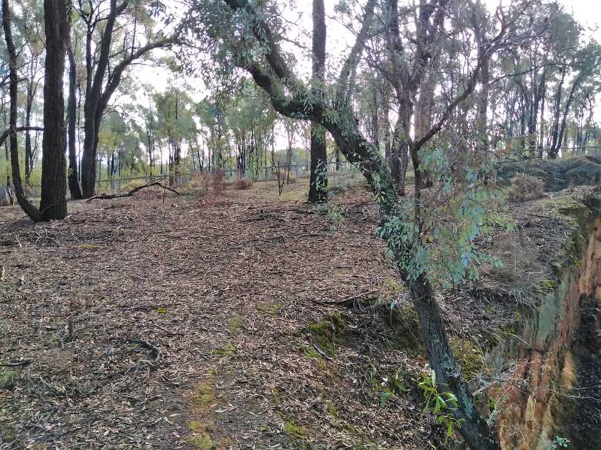 Wangaratta Common Nature Conservation Reserve, Wangaratta, VIC