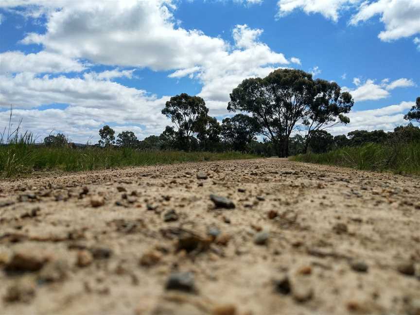 Wangaratta Common Nature Conservation Reserve, Wangaratta, VIC