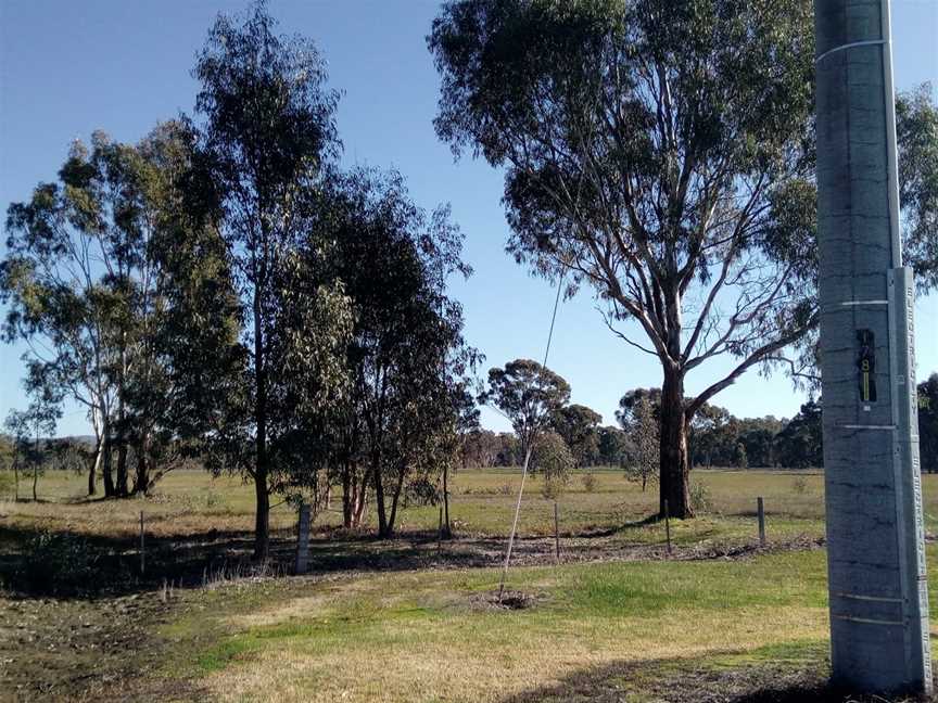 Wangaratta Common Nature Conservation Reserve, Wangaratta, VIC