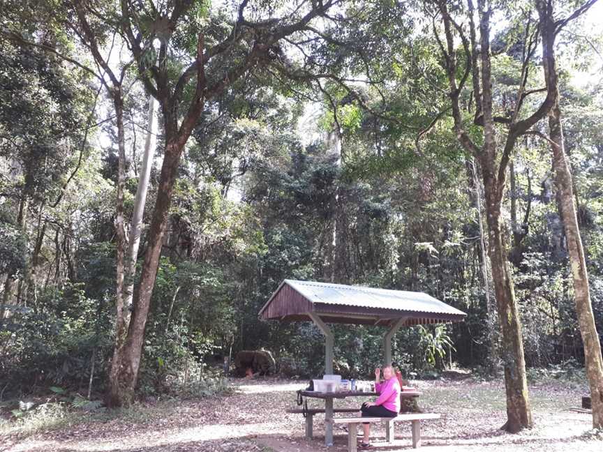 Tooloom National Park, Tooloom, NSW