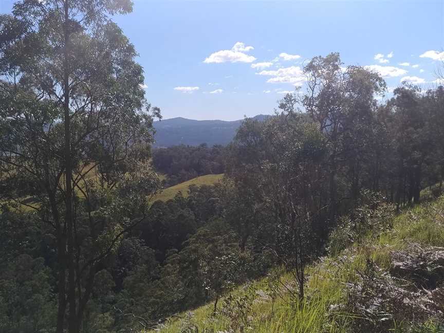 Tooloom National Park, Tooloom, NSW