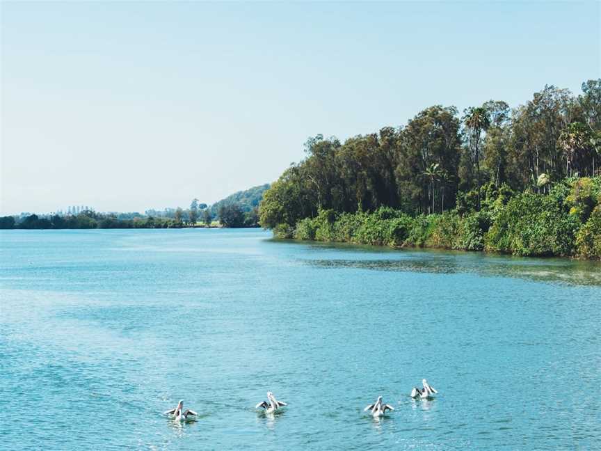 Rous River Canoe Trail, Tumbulgum, NSW