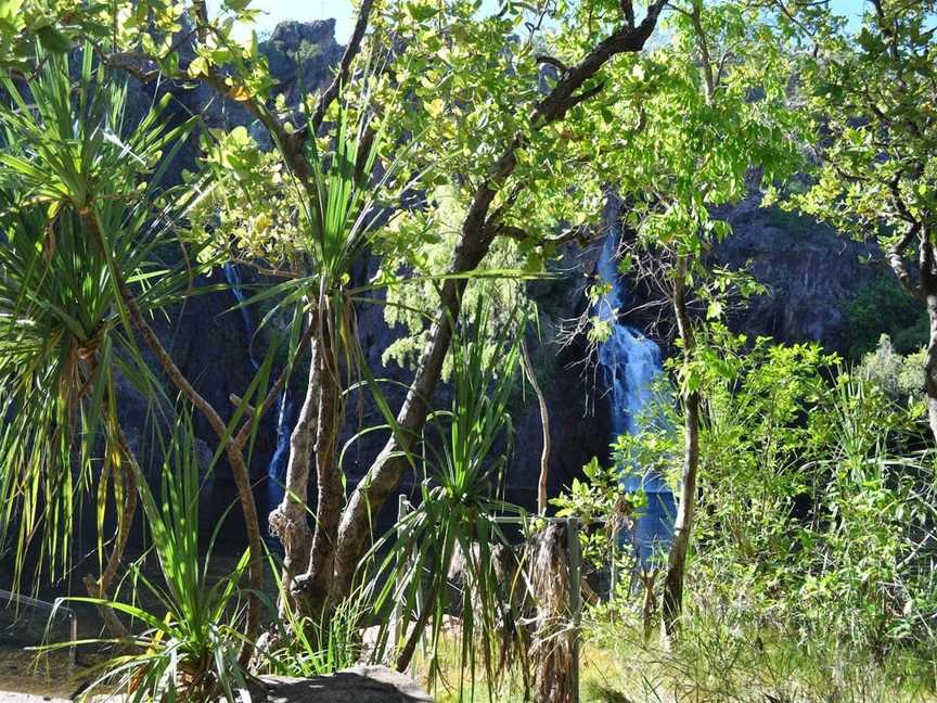 Manngarre Rainforest Walk, Jabiru, NT