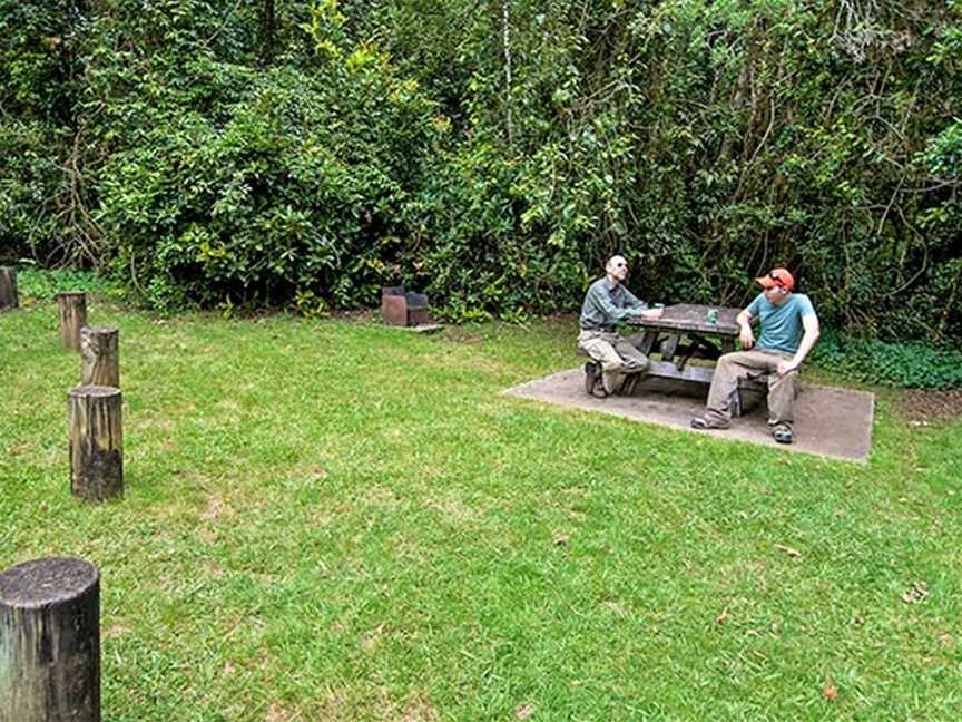 Bar Mountain picnic area, Upper Horseshoe Creek, NSW