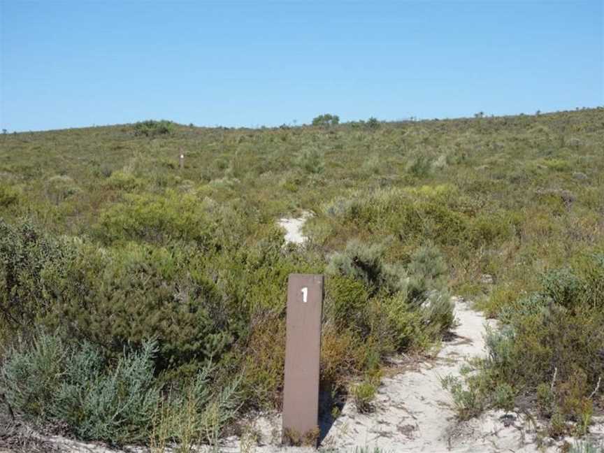 Badgingarra Nature Trail, Badgingarra, WA