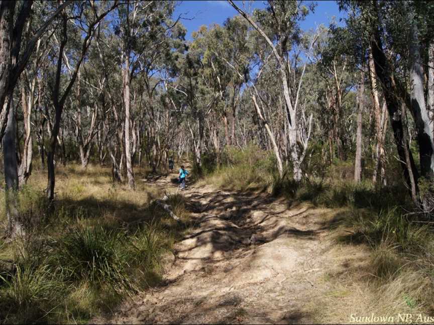 Sundown National Park, Stanthorpe, QLD