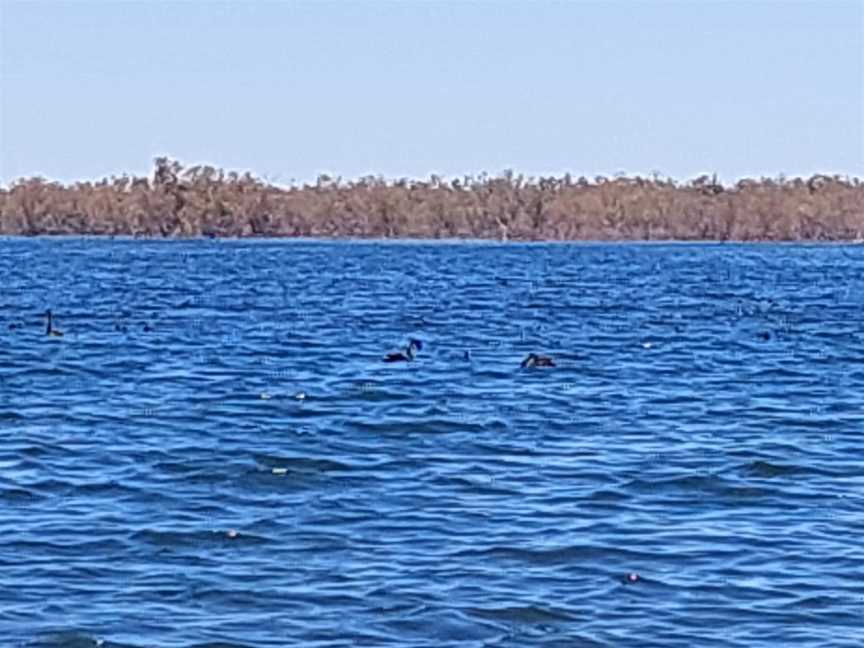 Ophthalmia Dam, Newman, WA