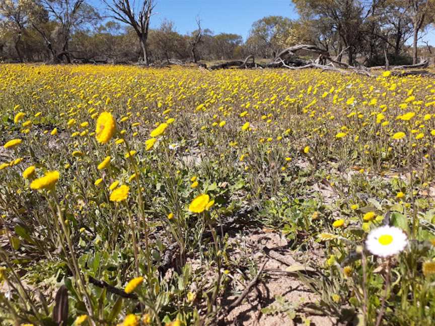 Coalseam Conservation Park, Mingenew, WA