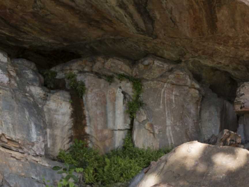 Nanguluwurr Rock Art Site and Walk, Jabiru, NT