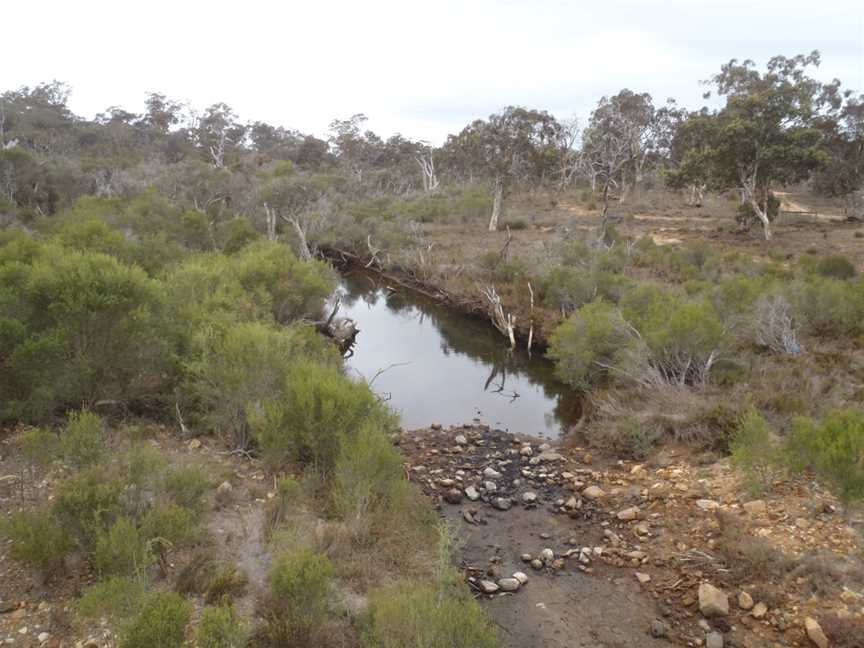 Kalgan River, Albany, WA