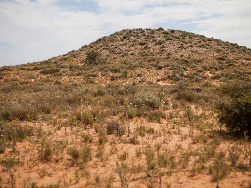 Munga-Thirri - Simpson Desert Conservation Park and Regional Reserve, Oodnadatta, SA