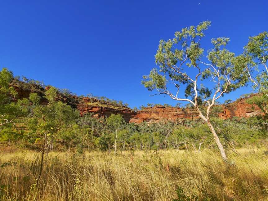 Judbarra / Gregory National Park, Timber Creek, NT