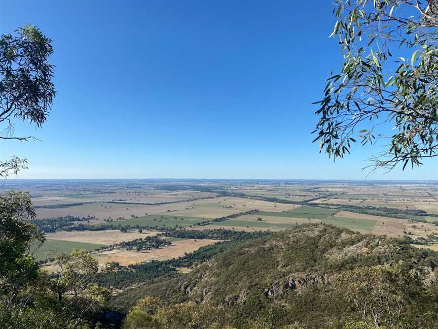 The Rock Nature Reserve - Kengal Aboriginal Place, The Rock, NSW