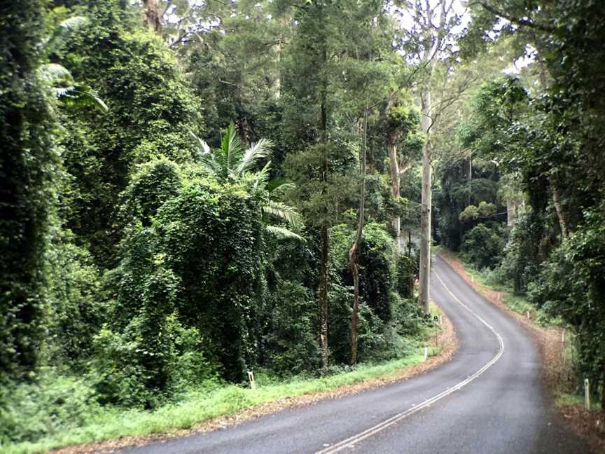 D'Aguilar National Park, The Gap, QLD