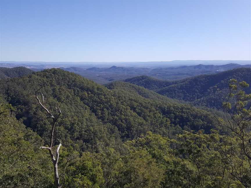 D'Aguilar National Park, The Gap, QLD