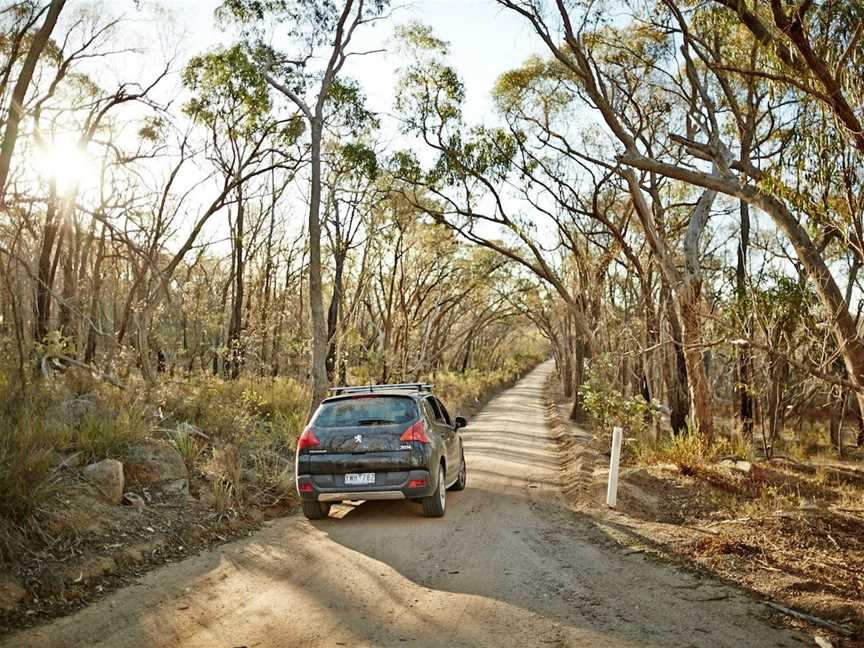 The Forest Camp, Wangandary, VIC