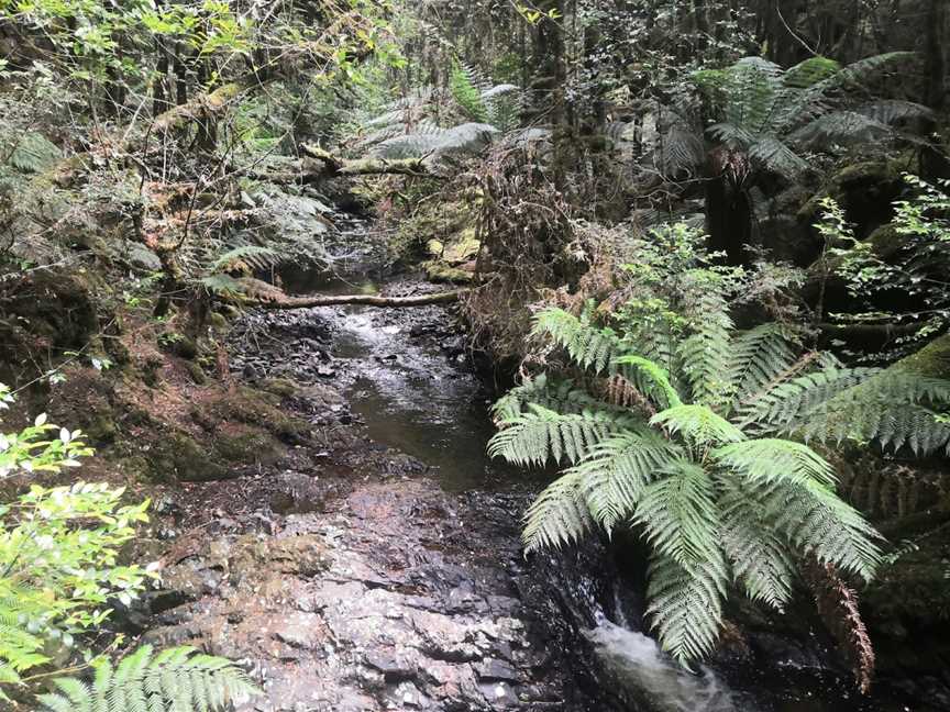 Philosopher Falls, Waratah, TAS