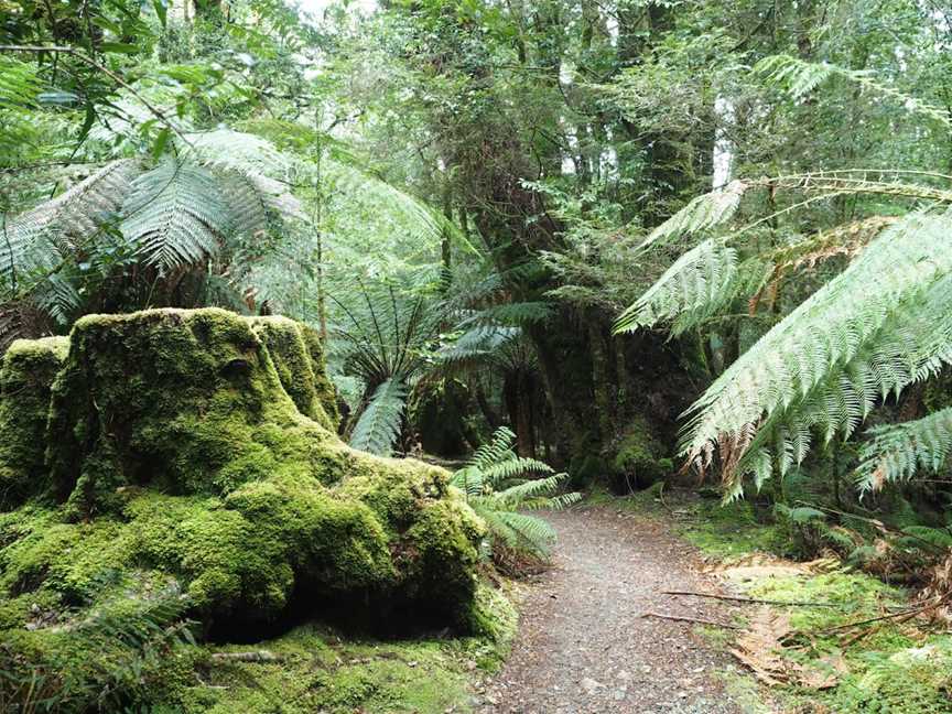 Philosopher Falls, Waratah, TAS