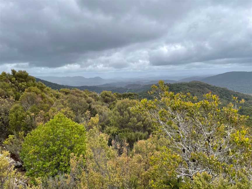 Whyte Hills Lookout, Waratah, TAS