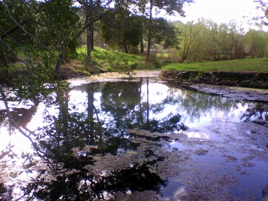 Kimberley Warm Springs, Kimberley, TAS