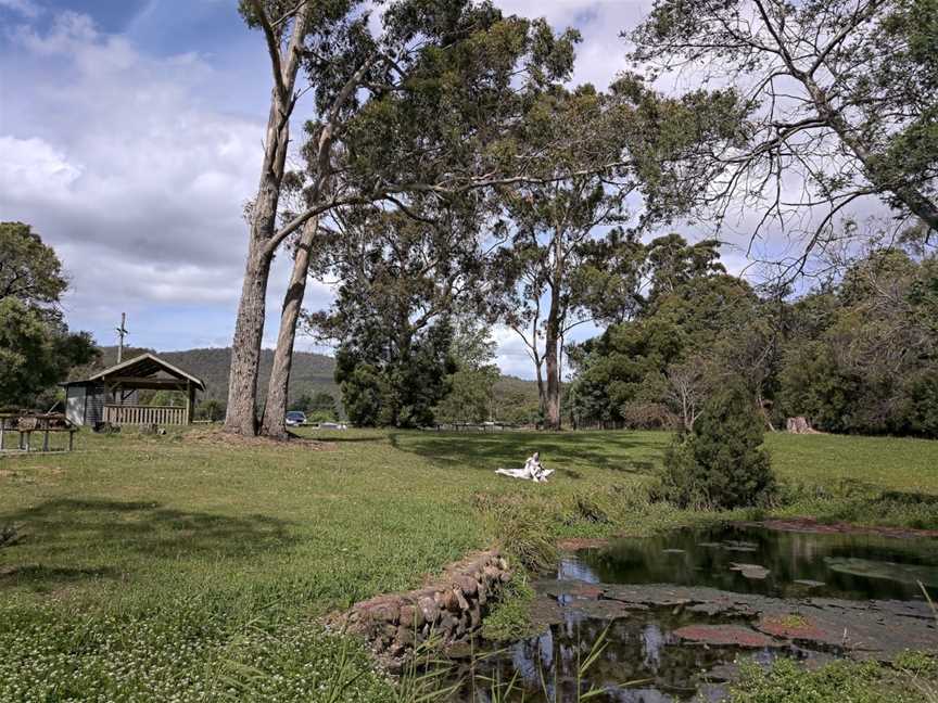 Kimberley Warm Springs, Kimberley, TAS