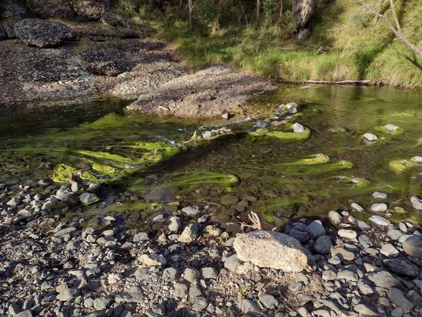 Washpools waterhole, Middle Brook, NSW