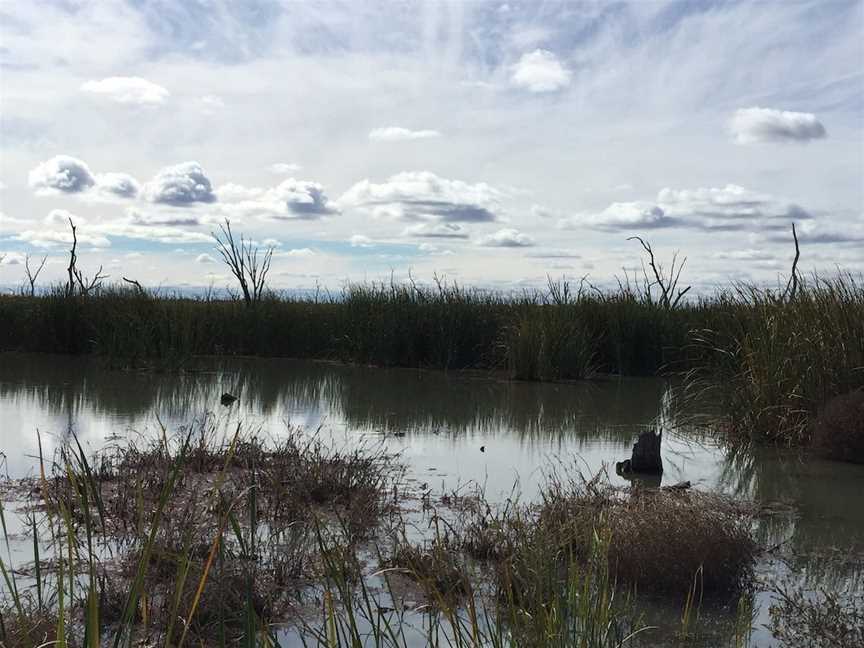 Gwydir Wetlands State Conservation Area Moree, Moree, NSW