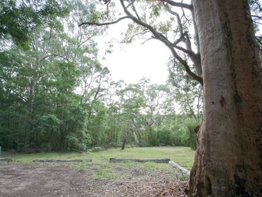 Gunjulla Flat picnic area, Waterfall, NSW