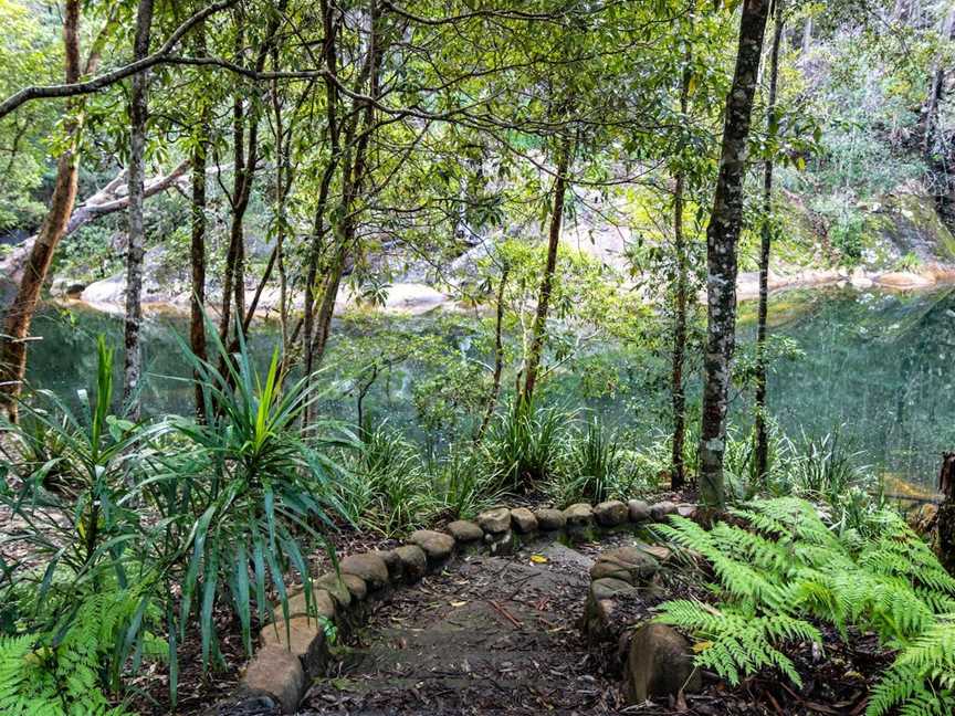 Mount Boss State Forest, Wauchope, NSW