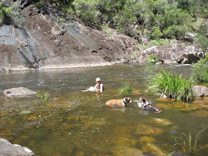 Mount Boss State Forest, Wauchope, NSW