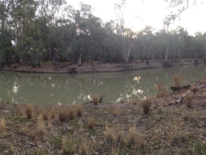 Yanga National Park, Yanga, NSW