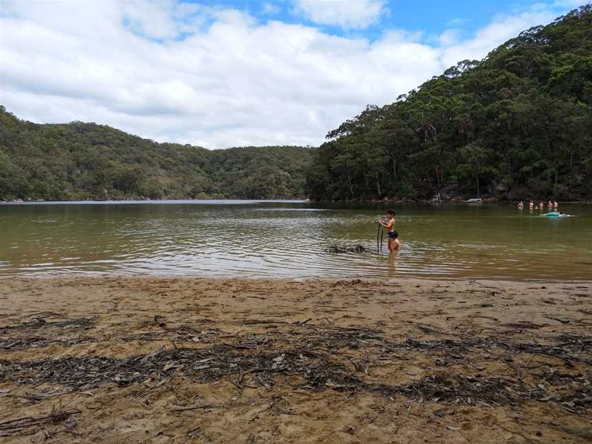 The Basin track and Mackerel track, Ku-Ring-Gai Chase, NSW